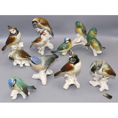 343 - Collection Karl Ens porcelain models of birds, max. H16cm (7)