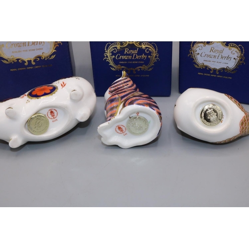 367 - Three Royal Crown Derby paperweights: Kitten, Wren, and Pig, with boxes (3)