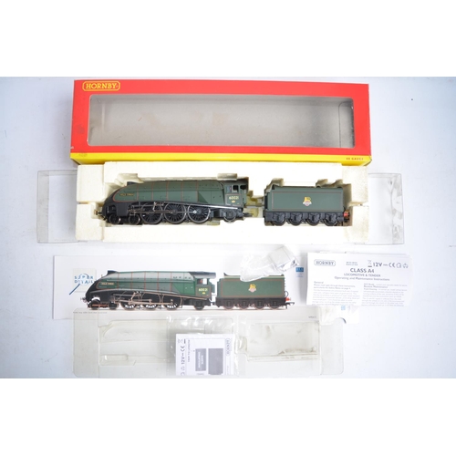 542 - Hornby OO gauge Super Detail DCC Ready R2615 Class A4 60021 Wild Swan electric train model in near m... 