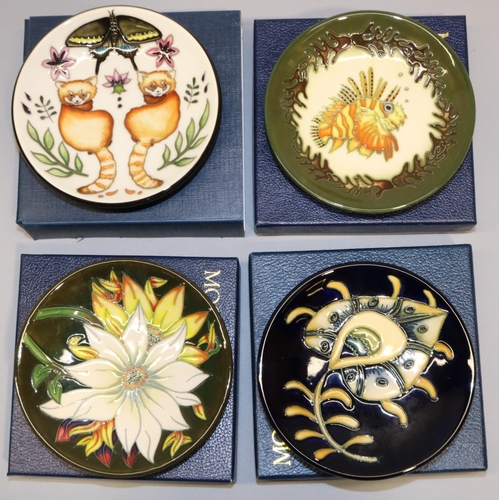 672 - Moorcroft Pottery: four MCC Moorcroft Collectors Club pin dishes/coasters - 'The Himalayas' design o... 