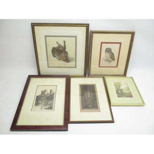 822 - Assorted collection of framed prints inc. prints of Albrecht Durer's rabbit and owl, print of Durham... 