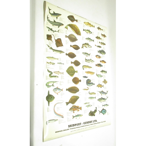 1290 - Bridport Gundry Ltd Seafish poster 103cm x 70.5cm, Freshwater fish poster 102.5cm x 70.5cm, Edible M... 