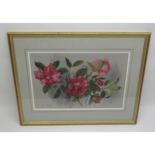 980 - Jean Starkie (20th Century) 'Spring Garden' watercolour signed; with Artist's label verso, 63.2cm x ... 