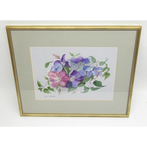 981 - Jean Starkie (20th Century) 'Clematis - Comtesse De Bouchard' watercolour, signed; with Artist's lab... 