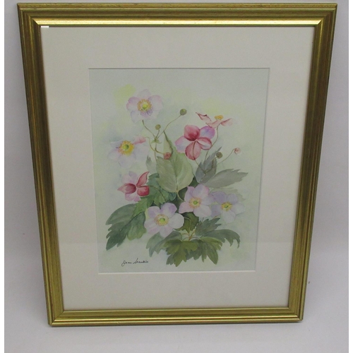 981 - Jean Starkie (20th Century) 'Clematis - Comtesse De Bouchard' watercolour, signed; with Artist's lab... 