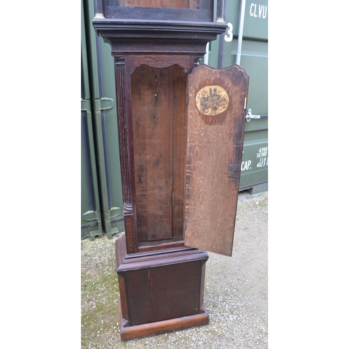 1371 - Oak long case clock, case only. Overall height H230cm, aperture height 41.5cm