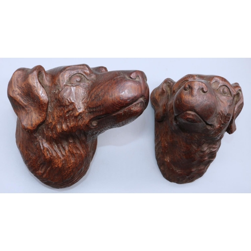 1144 - Pair of early C20th relief carved oak models of dogs heads, H16cm W13cm (2)