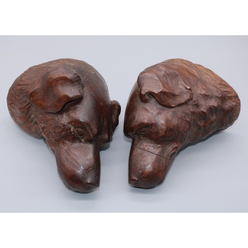 1144 - Pair of early C20th relief carved oak models of dogs heads, H16cm W13cm (2)