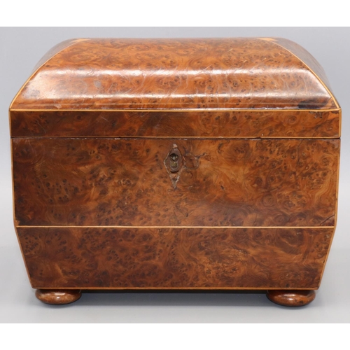 1135 - C19th boxwood strung yew sarcophagus shaped tea caddy, with two lidded compartments on turned bun fe... 