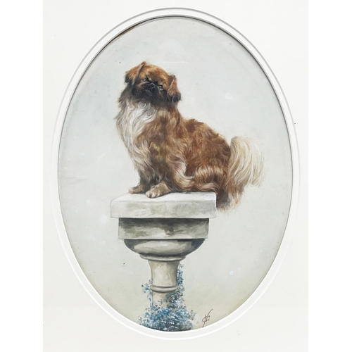 1360 - Nina Colemore MBE (British 1889-1973);  Pekinese seated on a marble pedestal, oil on oval ceramic pa... 