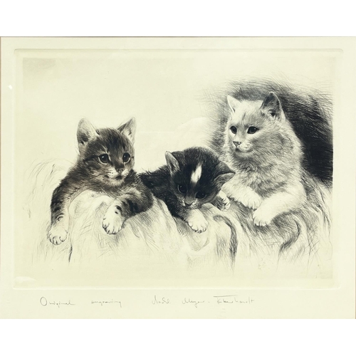 1371 - After Kurt Meyer-Eberhardt (1895-1977); Three kittens, original engraving, signed and inscribed in p... 