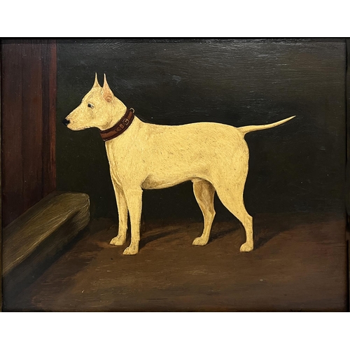 1389 - A. Stevenson (British C19th); Terrier in an interior, oil on panel, signed and dated 1899, 23cm x 30... 