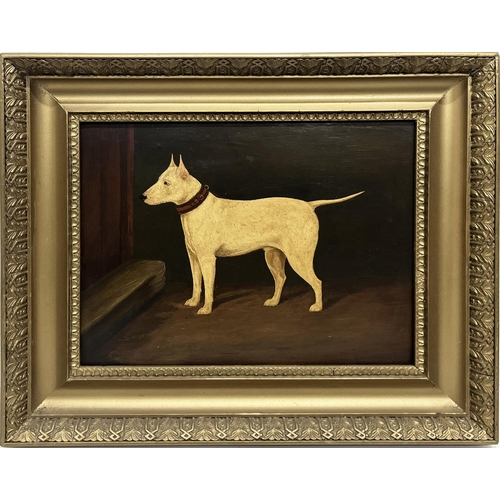 1389 - A. Stevenson (British C19th); Terrier in an interior, oil on panel, signed and dated 1899, 23cm x 30... 