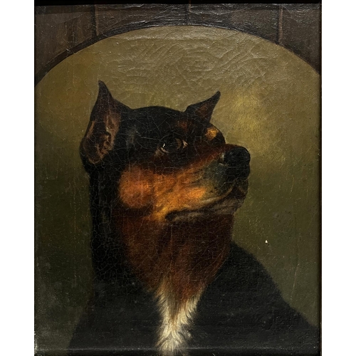 1379 - English Naive School (late C19th); Portrait of a dog, head and shoulder, in painted arch, oil on can... 