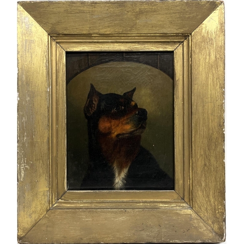 1379 - English Naive School (late C19th); Portrait of a dog, head and shoulder, in painted arch, oil on can... 