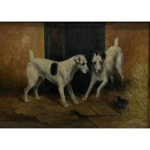 1377 - English School (C20th); Two wire haired Terriers with a caged rat in a yard, oil on canvas board, 17... 