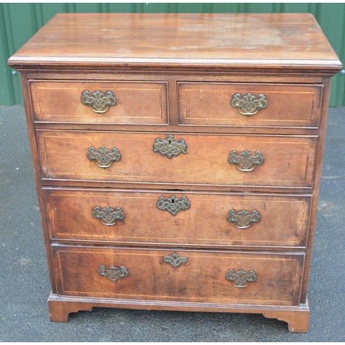 1426 - Queen Anne style walnut chest, moulded top above two short and three long cockbeaded boxwood strung ... 