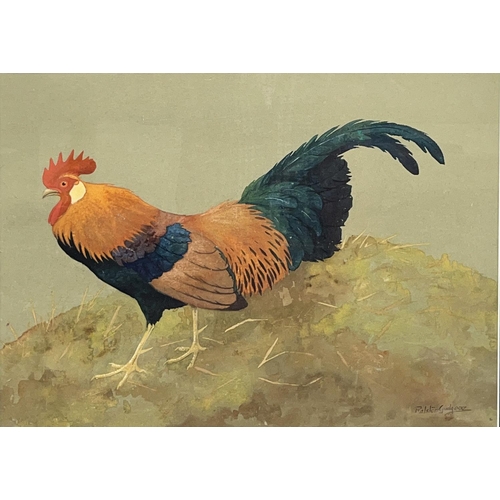 1350 - Ralston Gudgeon RSW (Scottish 1910-1984); Bantam Cock, watercolour and gouache, signed, 37cm x 50cm