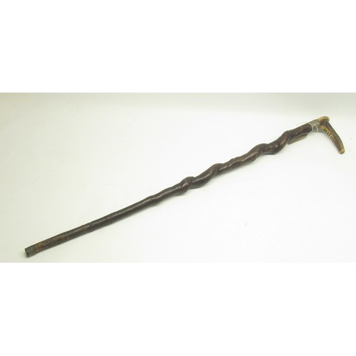 1238 - Victorian walking stick, twisted shaft with deer antler handle, plaited unmarked white metal mount a... 