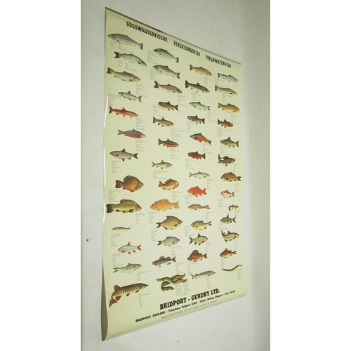 198 - Bridport Gundry Ltd Seafish poster 103cm x 70.5cm, Freshwater fish poster 102.5cm x 70.5cm, Edible M... 