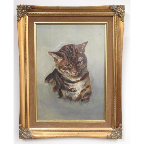 487 - Ada D. Clarkson (British C20th); Portrait of a Tabby cat, head and neck, oil on board, signed and da... 