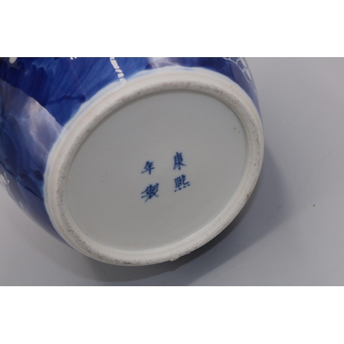 143 - Late Quing Chinese blue and white prunus decorated ginger jar, Kangxi mark, lacking cover, H14cm