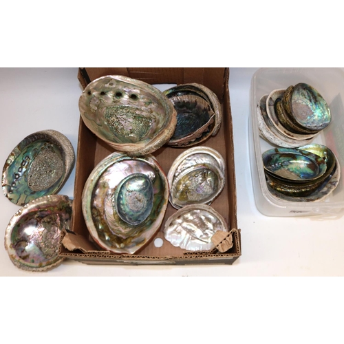 345 - Collection of abalone shells, some very large (qty)