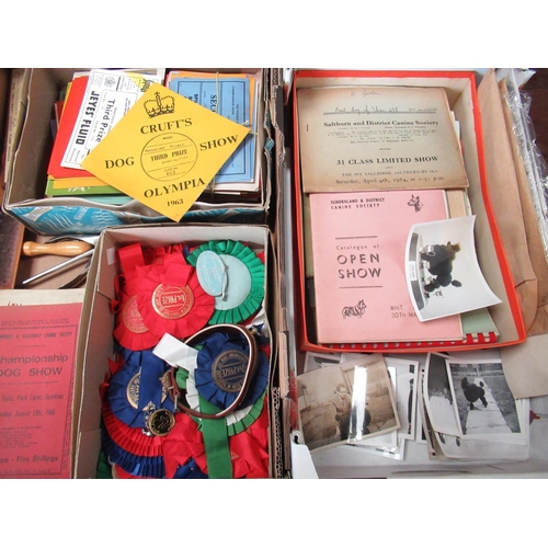 1336 - Collection of 1960's Canine ephemera mainly relating to Eshlaude Miniature Poodles incl. Show progra... 