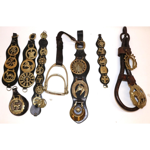 1034 - Collection of various leather mounted horse brasses (qty)