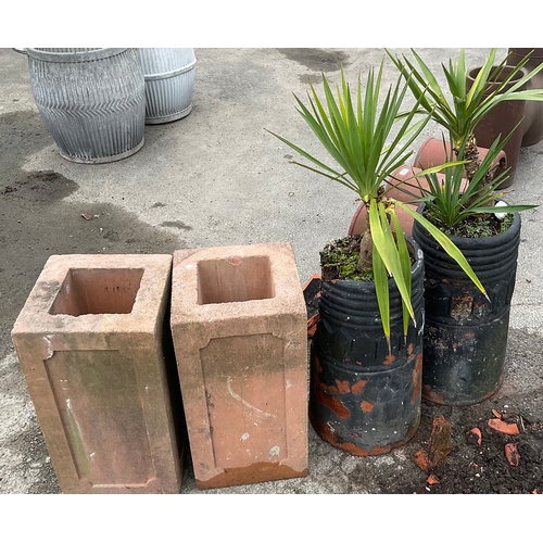 1243 - Two chimney pot planters, one AF and two plinth planters (4)