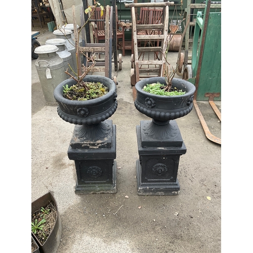 1244 - Two Victorian style black painted reconstituted urns on plinths with rose design (2)