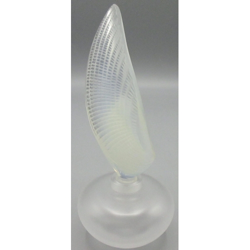 1171 - Lalique 'Coquillage' glass perfume bottle, opalescent decorative stopper, boxed, H16cm