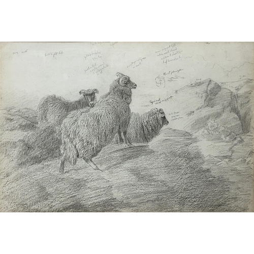 1231 - Sir Edwin Henry Landseer RA (British b.1802); 'Sheep'  Sheep in a landscape, pencil sketch with anno... 