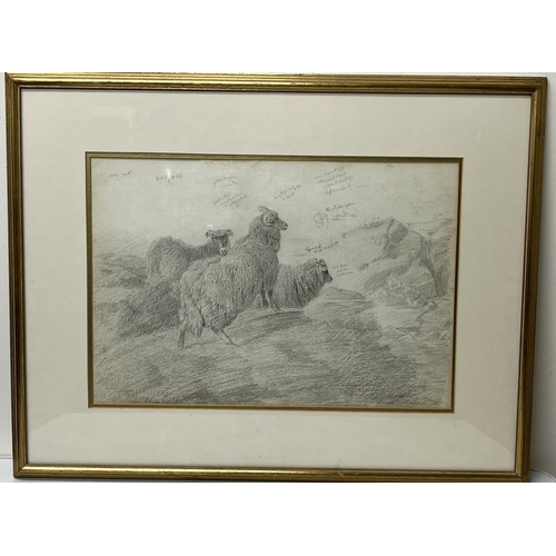 1231 - Sir Edwin Henry Landseer RA (British b.1802); 'Sheep'  Sheep in a landscape, pencil sketch with anno... 