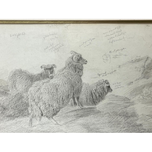 1231 - Sir Edwin Henry Landseer RA (British b.1802); 'Sheep'  Sheep in a landscape, pencil sketch with anno... 