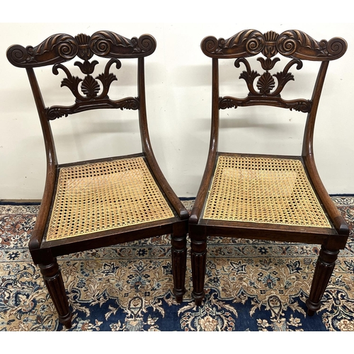 1344 - Pair of Regency rosewood side chairs, with anthemion leaf and scroll carved top rail and splat, cane... 