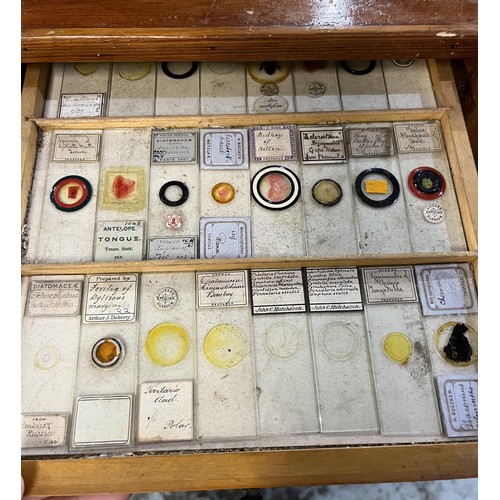 1195 - Early 20th century pine microscope slide cabinet, the twenty-one numbered drawers containing a colle... 