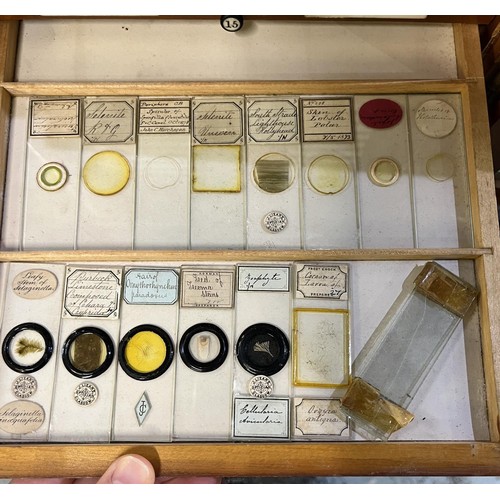 1195 - Early 20th century pine microscope slide cabinet, the twenty-one numbered drawers containing a colle... 