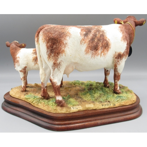 347 - Border Fine Arts, Beef Shorthorn Cow & Calf by Kirsty Armstrong, B1139, limited edition 316/500 with... 