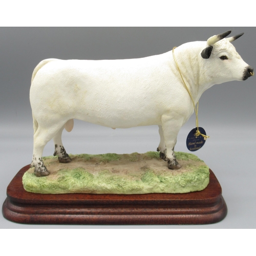 Border Fine Arts, White Park Bull by Ray Ayres, B1665, limited edition 128/350 with certificate, H17cm W22cm