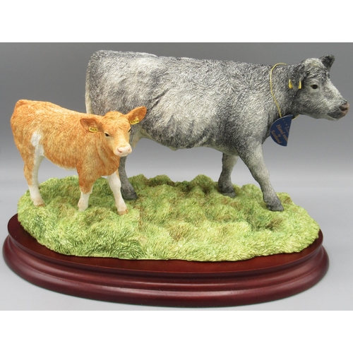 Border Fine Arts, Blue Grey Cow with Cross-bred Calf by Ray Ayres, B1648, limited edition 39/350 with certificate, H15cm W26cm