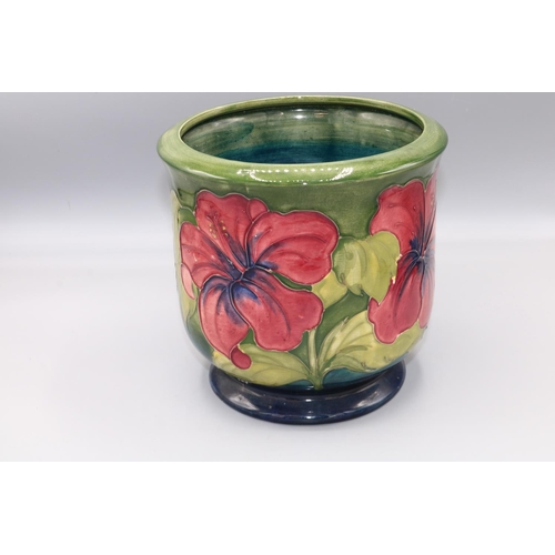 552 - Moorcroft Pottery: 'Hibiscus' pattern cache pot, yellow and red flowers on graduated blue to green g... 