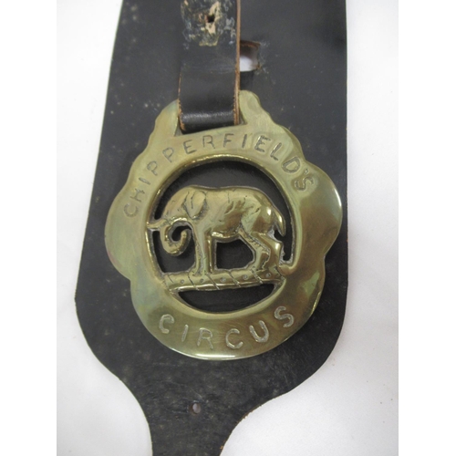 1178 - Two Chipperfields elephant brasses , Circus ceremonial elephant prod and a small leather saddle on w... 