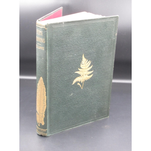 904 - Assorted collection of Nature and Flora books to inc. Lowe (E. J.) Fern Growing Fifty Years Experien... 