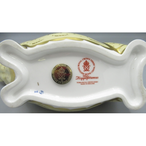 1243 - Royal Crown Derby hippopotamus paperweight, gold stopper, with box, no certificate, L20cm