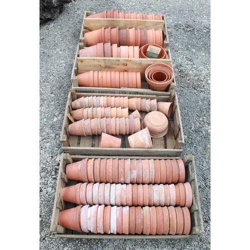 1590 - Large quantity of early 20th century and later terracotta plant pots of various sizes, in four stamp... 