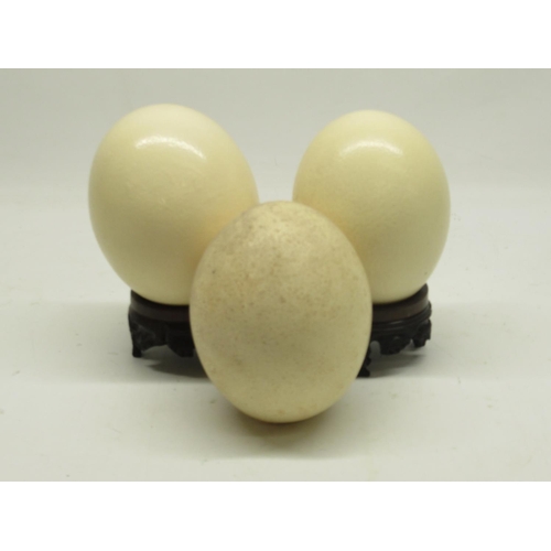 1121 - Three undecorated ostrich egg, with two turned wooden stands, 16cm.