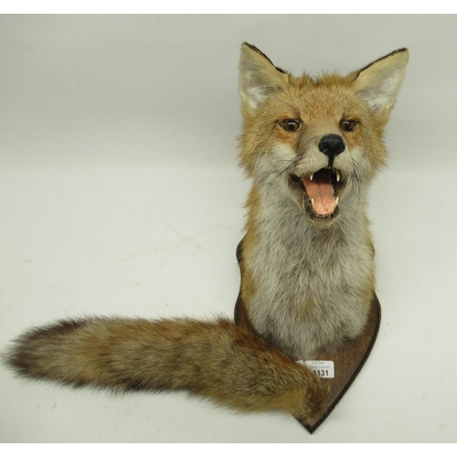 1131 - Taxidermy Fox mask and brush mounted on shield shaped wooden plaque, H27cm.