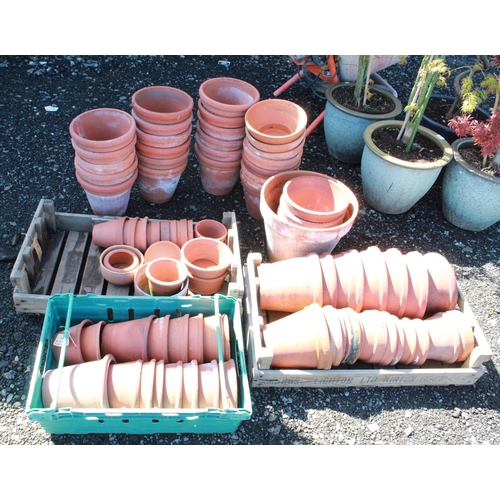 1596 - Large collection of terracotta plant pots of various ages and sizes