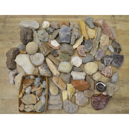 250 - Mixed collection of fossils, minerals and ancient stone tools including fossilised bracket fungus an... 